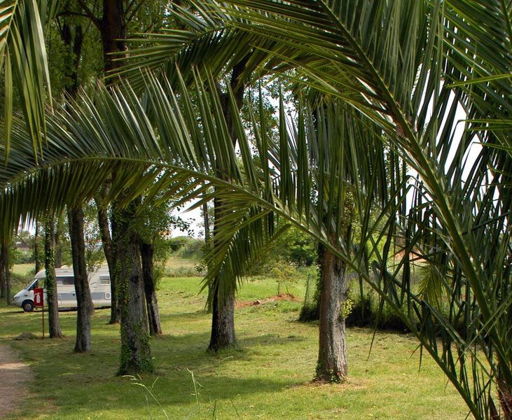 Parque De Campismo Orbitur Angeiras Hotel Bagian luar foto